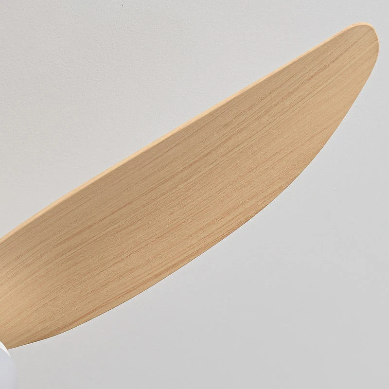 Ventilateur de Plafond Moderne avec Télécommande 5